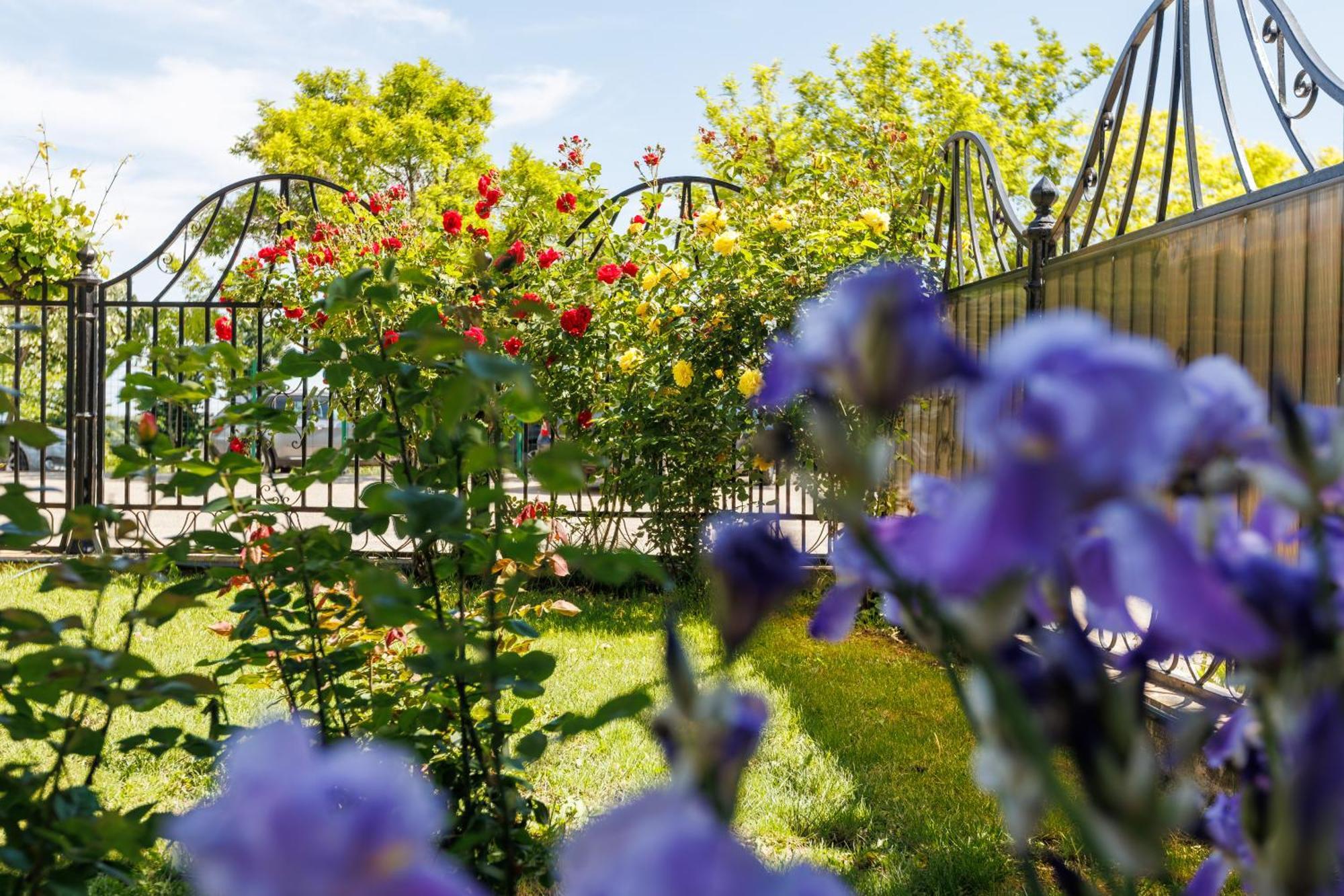 Vila Belvedere Galati  Ngoại thất bức ảnh